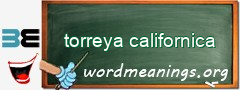 WordMeaning blackboard for torreya californica